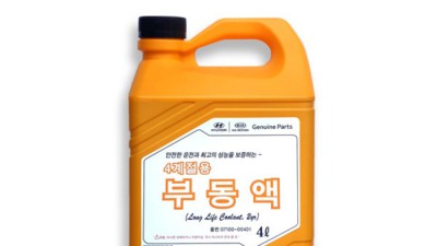 싼타페 TM 부동액 교체 후기! 겨울맞이 할인 꿀팁❄️