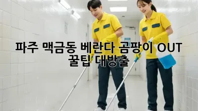 파주 맥금동 베란다, 곰팡이 OUT! ✨ 꿀팁 대방출